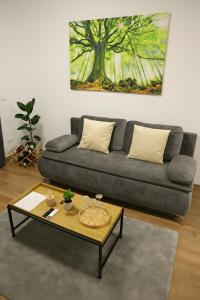 een woonkamer met een bank en een salontafel bij Hushu Apartment in Giroc