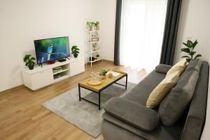 een woonkamer met een grijze bank en een tv bij Hushu Apartment in Giroc