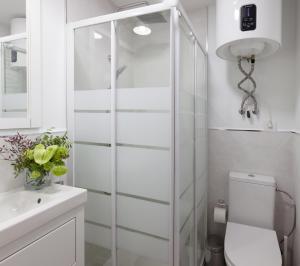 a bathroom with a shower and a toilet and a sink at Charming Madrid lofts in Madrid +68 photos