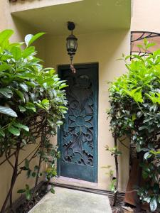 Fotografie z fotogalerie ubytování Casa Nápoles v destinaci Mexico City