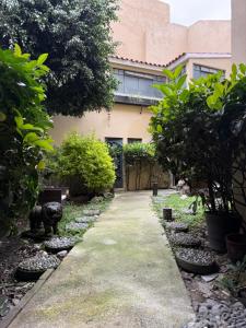 Zahrada ubytování Casa Nápoles