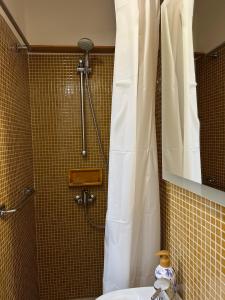 een badkamer met een douche met een wit douchegordijn bij Studio Le Clocher in Saint-Étienne-de-Tinée