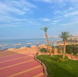 a beach with palm trees and umbrellas and the ocean at cecelia resort in Hurghada