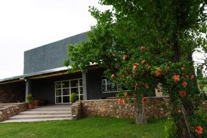 a house with a flowering tree in front of it at Cabañas La Sarita in La Consulta