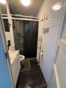 a small bathroom with a shower and a toilet at Spacious & Cozy home with open kitchen lounge in Søborg
