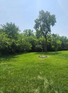 a tree in the middle of a green field at Exceptional Willowbrook Retreat in Willowbrook