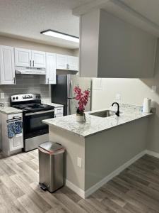 Billede fra billedgalleriet på A full-fledged apartment with overlooking the lake i Tampa