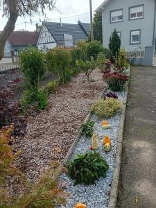 a garden with flowers and plants in a yard at Appartement T2 44 m2 in Kesseldorf