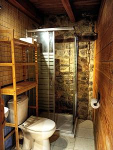 a bathroom with a toilet and a glass shower at Casa La Farrapona de Babia in Torrestío +35 photos