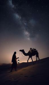 Φωτογραφία από το άλμπουμ του Whisper Dunes Camp στην Άκαμπα