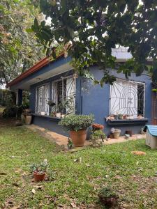 ein blaues Haus mit Fenstern und Pflanzen in einem Garten in der Unterkunft Room near Airport SJO in Coyol
