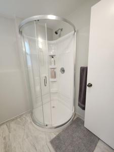 eine Dusche mit Glaskabine im Bad in der Unterkunft Naperville Gem in Naperville + 8 Fotos