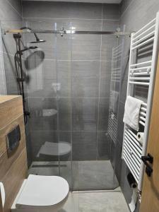 een badkamer met een glazen douche met toilet bij Janjska Kuća in Šipovo
