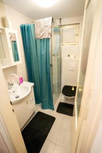 baño con cortina de ducha azul y lavamanos en Kuća za odmor NADA, en Legrad 21 fotos más