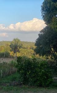 Příroda nedaleko ubytování v soukromí + 13 fotografií