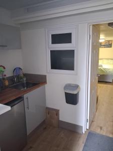 Η κουζίνα ή μικρή κουζίνα στο Bedsit in Oldbury