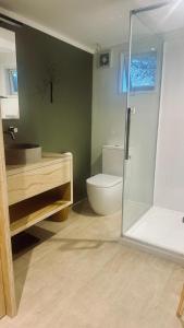 Un baño con inodoro, lavabo y ducha. en Little Oneroa Beach Bach, en Waiheke Island