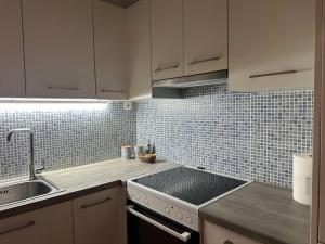 a kitchen with a sink and a counter top at Ostria spiti in Aígio +16 photos