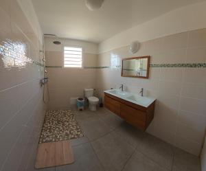 a bathroom with a sink and a toilet at Villa indigo Gp in Vieux-Habitants
