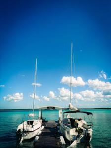 two boats are docked at a dock in the water at Viajero Bacalar Hostel in Bacalar
