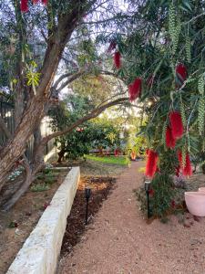 Zahrada ubytování Vintage Airstream Perth + 1 fotografie