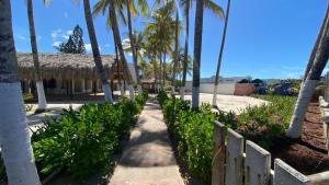 eine Reihe von Palmen neben einem Gebäude in der Unterkunft Vida Playa el Agua in La Mira