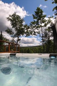 a large swimming pool with trees in the background at Slow Living Lodge- SPA - Pet friendly in Saint Come