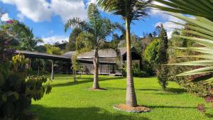 two palm trees in front of a building at CASA HOTEL FIBA MAGUEZA in San Francisco