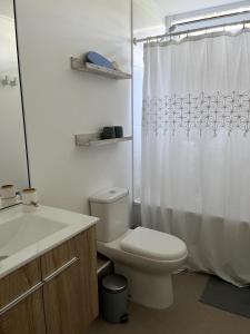 a bathroom with a toilet and a shower curtain at 1st floor apartment - Lomas Puyai - Beach 15 min in Papudo