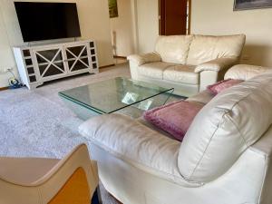 a living room with two couches and a television at Hillside Retreat With Pool in Flagstaff Hill