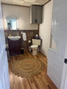 a bathroom with a toilet and a sink and a rug at Welcome to Duck Run in Mackeyville, Pennsylvania! in Mill Hall +21 photos