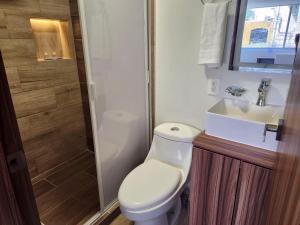een badkamer met toilet, douche en wastafel bij 22 Bella habitación Consulado in Guadalajara