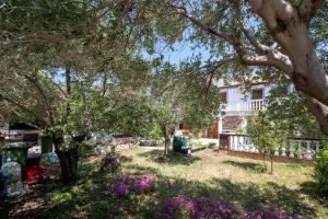 a yard with trees and flowers in front of a house at Apartments with parking space Povljana, Pag - 21327 in Povljana