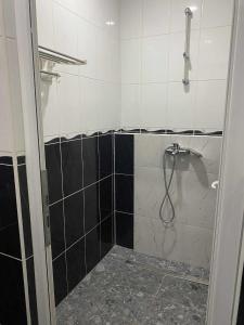 Koupelna v ubytování Adna Art Apartment