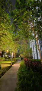 クアラルンプールにあるPanoramic KLCC Lake view, M CITY Jalan Ampangの木々と建物のある公園内の小道