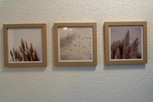 three pictures of trees and birds on a wall at Aurora Lodge in Frielendorf