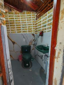 a bathroom with a green toilet and a sink at Hospedaje casa en el Árbol in Moniquirá