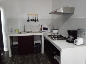 a kitchen with a sink and a stove top oven at Pino Longe, Río Celeste in Upala