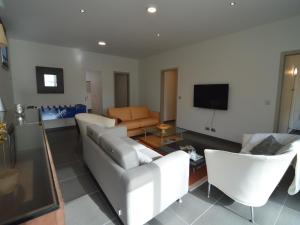 Μια τηλεόραση ή/και κέντρο ψυχαγωγίας στο Holiday home in Zottegem