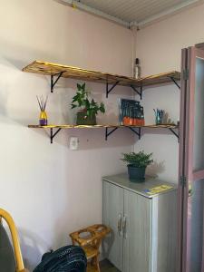 a room with shelves on the wall with plants at Igrejinha RS in Igrejinha