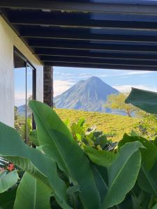 une vue d'une montagne depuis une fenêtre avec une plante dans l'établissement Villa Guarumo, à Santa Eulalia