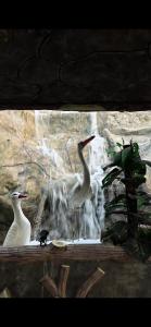 Φωτογραφία από το άλμπουμ του عزبة وادي السدر σε ‘Ashashah +9 φωτογραφίες