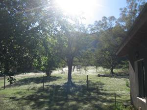 Příroda nedaleko ubytování v soukromí