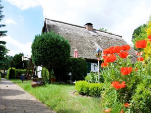 a cottage with red flowers in front of it at Séjour sérénité au bord du lac de Granzow in Gegensee