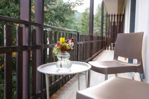 Μπαλκόνι ή βεράντα στο Hotel Camigliatello