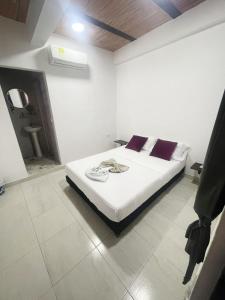 ein weißes Schlafzimmer mit einem Bett und einem Badezimmer in der Unterkunft Hotel Coralite Suites Lions in Santa Marta