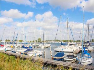 Příroda nedaleko prázdninového domu