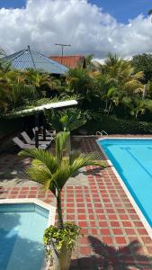PapagallerosNatural Luxury Birding Lodge的游泳池旁的棕榈树