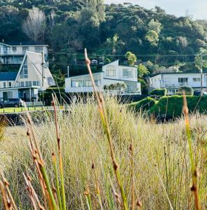a field of tall grass with houses in the background at BEACH Baby Cottage! in Ngunguru