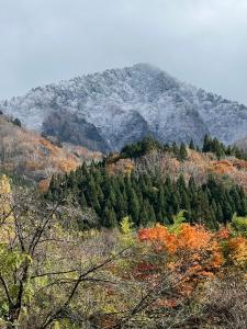 Wadaにある山の湯のギャラリーの写真